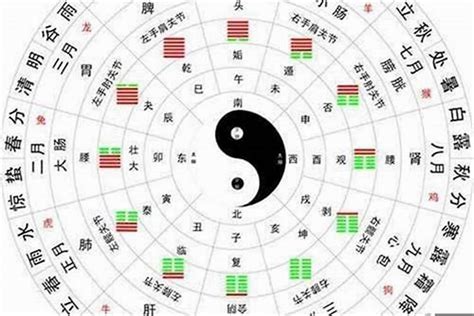 羊属五行|属羊在金木水火土五行里属什么